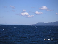 s_PICT0094s.png